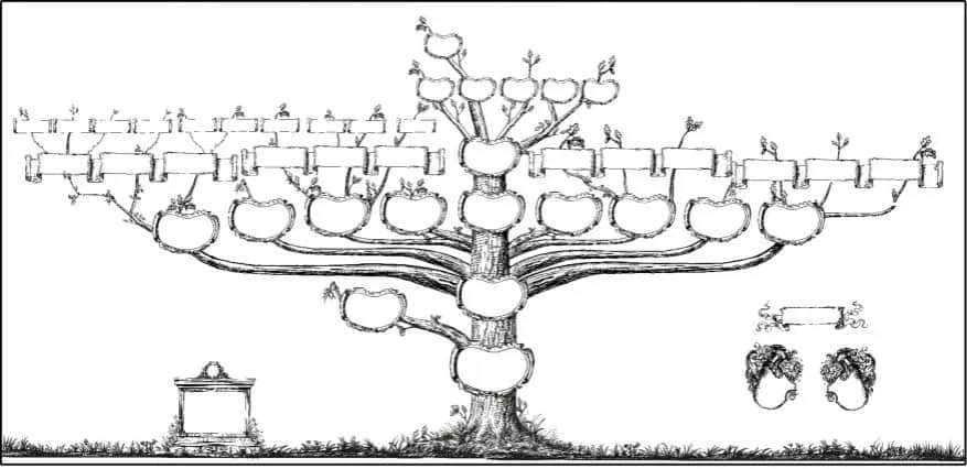 Dziedziczenie ustawowe - Przykłady i Ułamki